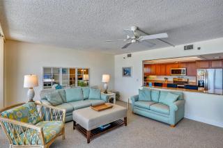 Trillium 2C - Premier - St Pete Beach - 3