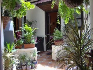 Mediterranean holiday home with small patio-terrace - Icod de los Vinos - 9
