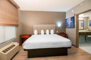 Wingate by Wyndham Tuscaloosa - Tuscaloosa - 1