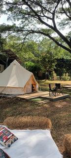 Glamping tent fan room - Ban Na Sok - 0