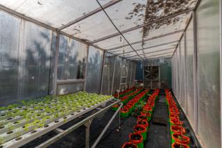 SaffronStays Timber Crest - 2-cottage retreat in Dehradun with mountain views, lawn and fire pit - 4