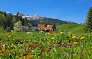 Ferienwohnung Rotache - Fieberbrunn - 7