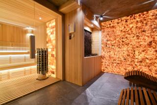 Salamandra SPA Jacuzzi, Sauny, Tężnia, panorama Tatr - 4