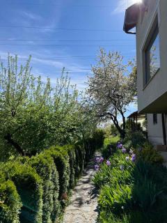 Villa Aja - Sarajevo - 3