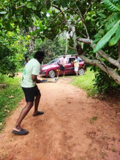 Boomerang community - Auroville - 6