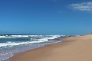 Paddy's Place - Zinkwazi Beach - 0