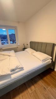 Trentino Apartments - Villa orso Bruno - 6