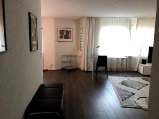 Executive 2BR Flat 100sqm - Mainau 6 - Zurigo - 7