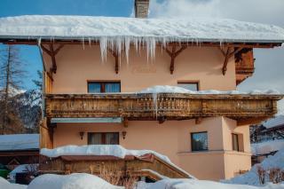 Appartement ERIKA by MoniCare (Haus Claudia) - Seefeld in Tirol - 8