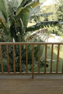 Private home near Libaong white beach with Solar and 600mbps internet - Dauis - 3