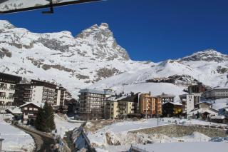 Piccolo rododendro Q427 - Breuil-Cervinia - 1