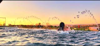 Chácara Recanto Pérola - 9