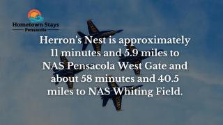 Herron's Nest - Pensacola - 3