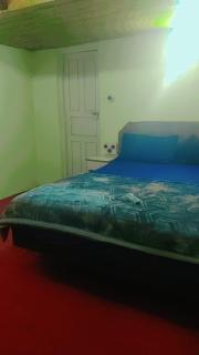 Shami's Woodside Villa - Ooty - 9