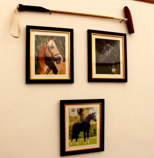Aravali Farms by AEC - Bhundsi - 4