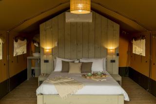 Glamping Tenuta Radici - Castelnuovo della Misericordia - 4