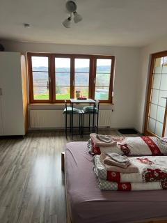 Kleine Ferienwohnung - Nähe Schweizergrenze - 0