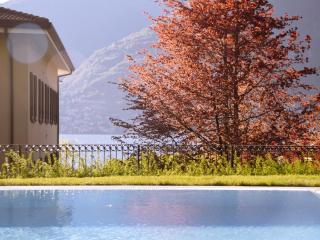 Domus Plinii 1792 Suites - Faggeto Lario - 2