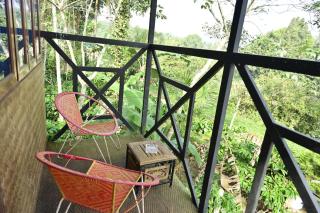 Sansree homestay - Mananthavady - 4