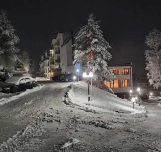 Vila Barselona Kopaonik - Kopaonik - 1