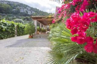 Nettes Ferienhaus in Pollença mit Privatem Pool - Pollença - 5