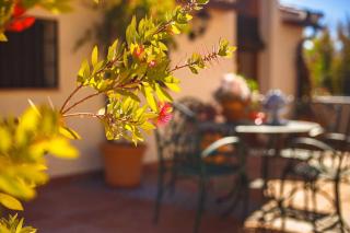 Molino San Acacio Casa Rural - 7