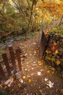 Molino San Acacio Casa Rural - 1