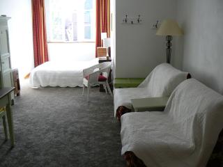 Studio Lumineux, Coeur De Ville - Dijon - 3