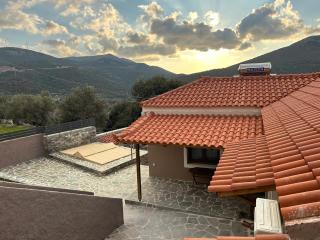 Land Of Olive - - 5