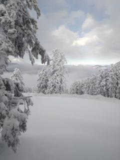 Superbe Studio Ambiance Chalet - Ustou - 7