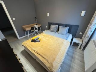 Apartament Wiosenny Kamienica Grochów with free parking - Varsavia - 7