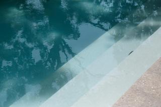 Luxury Villa in Jungle Setting with Infinity Pool and Firepit - 7