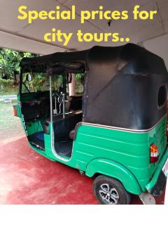 Corner Cottage - Anuradhapura - 2