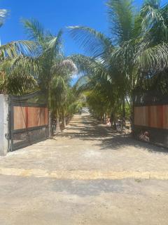 Allee coco - Trou aux Biches - 0