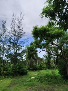 Gayatri holiday home - Murud - 3