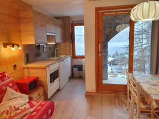 Studio agréable proche des pistes avec terrasse - FR-1-181-2514 - 9