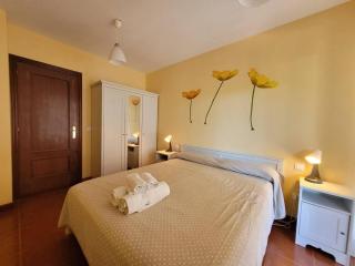 FGDR341C "Oyambre" - 4