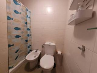 FGDR341C Oyambre - 1