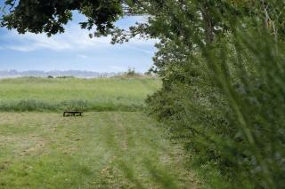 House By Forest And Roskilde Fjord's Waves - 4