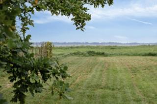 House By Forest And Roskilde Fjord's Waves - 3
