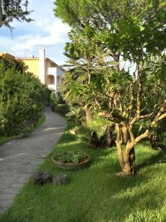 Hotel San Giovanni Terme - Ischia - 7