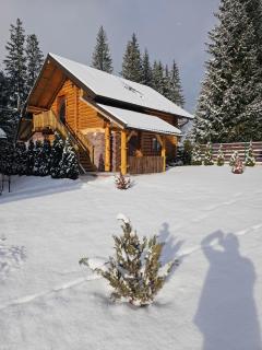 Kisva Hotel - Yablunytsya - 6