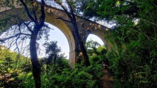 The frogs' house - Yoga Retreat - 5