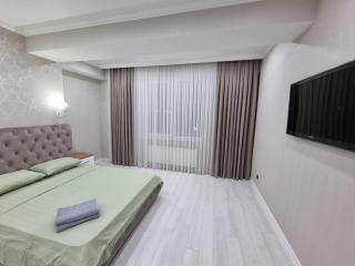 Starostenco Deluxe Apartment - Chişinău - 0