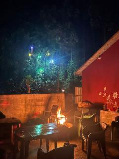 Mount Mist Homestay - Attigundi - 0