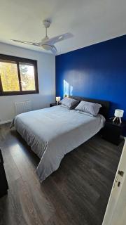 Grand Appartement T3 - Blagnac - Blagnac - 3
