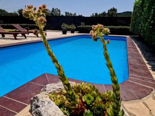 Villa Sunny Haven with private pool - Poljica - 8