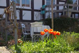 Ferienwohnung Bärbel - Suhl - 1