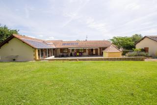 Les tourterelles - 5