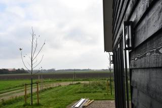 Vrijvakantiehuis Brouwerijweg 45a - Domburg - 5